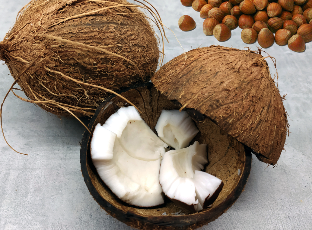 foods that balance female hormones - hazelnut and coconut - Zing Bars