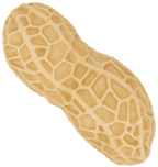 five illustration